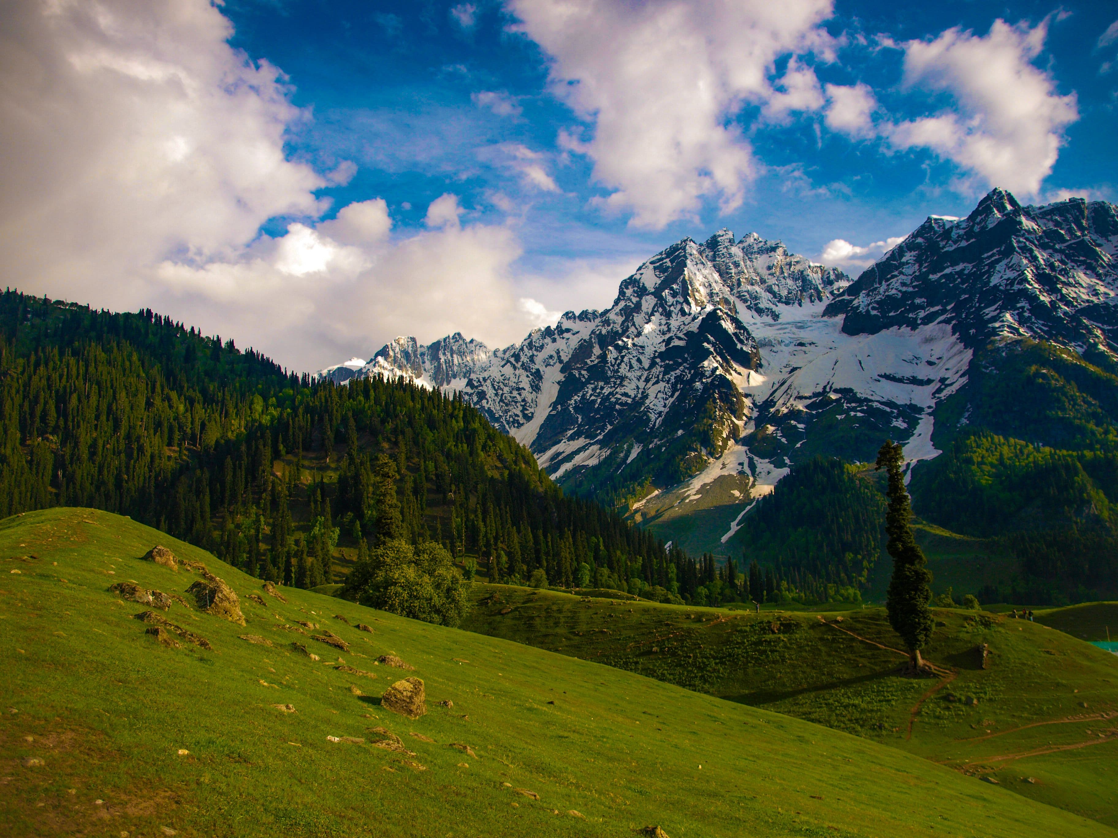 Kashmir Paradise Tour