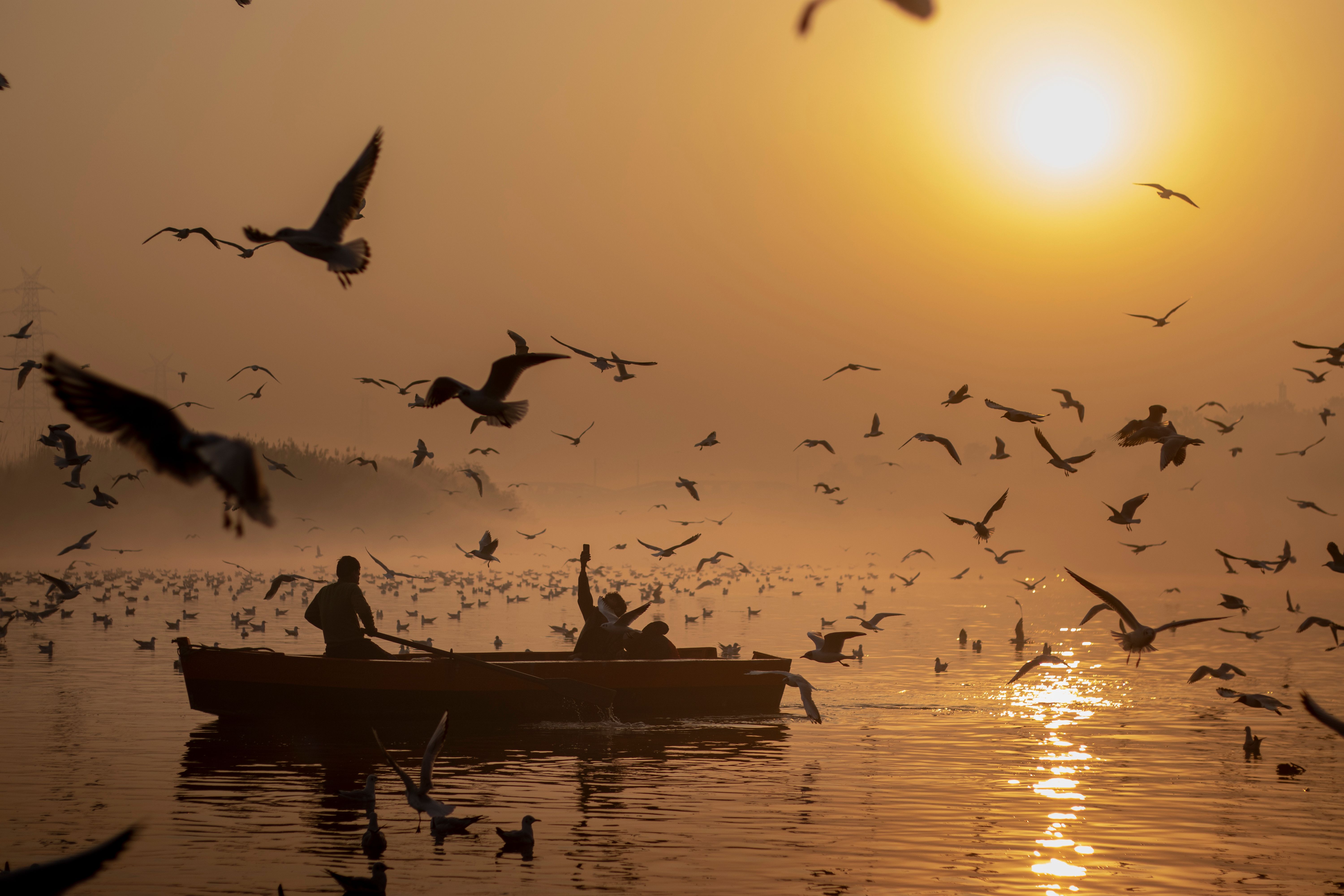 Sunrise Boat Ride